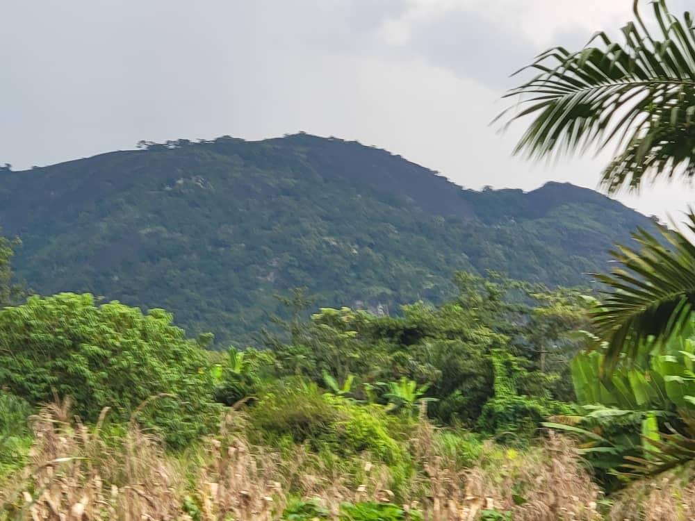 Obasoro Hill, a wooded hill rising above dense green vegetation at Takete-Ide